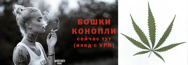 амф Новозыбков