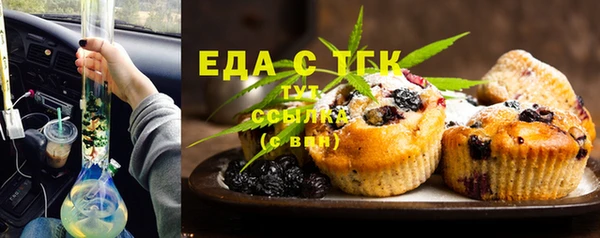 амф Новозыбков