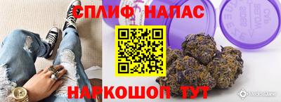 молекула духа Бийск