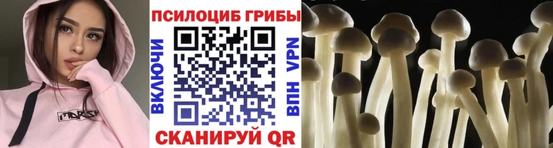 Псилоцибиновые грибы Cubensis  Кушва 