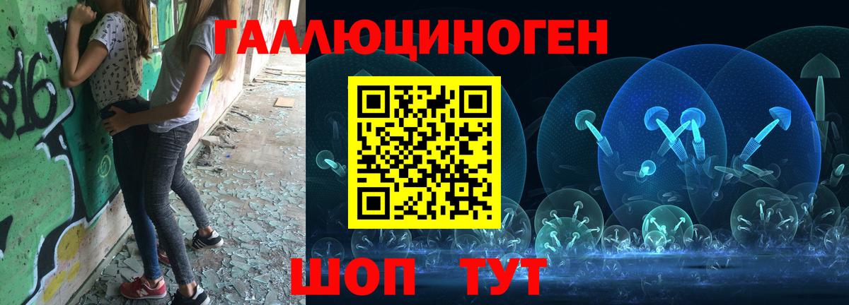 Галлюциногенные грибы Psilocybe Кушва
